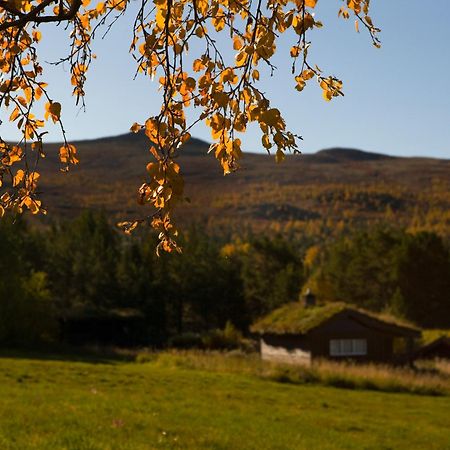 Отель Oigardseter Fjellstue Hovringen Экстерьер фото
